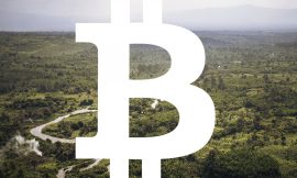 Ensuring Gorilla Protection: Integrating Bitcoin Mining Measures in African National Parks