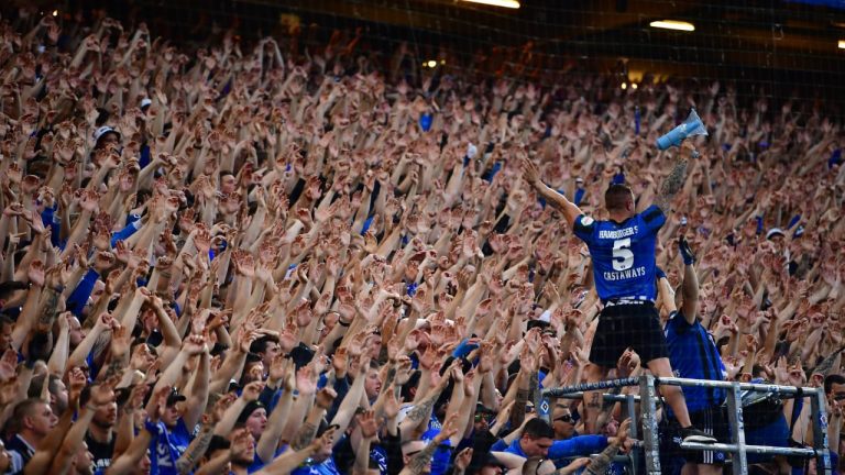 Read more about the article HSV Supporters Celebrate 30th Anniversary with Incredible Growth from 36 to 66,000 Members