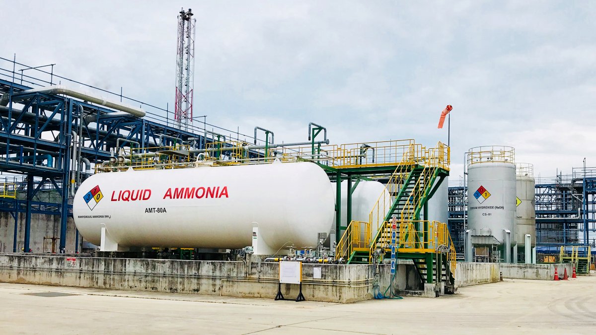 Energy Strategy: Japan's Plans for Ammonia