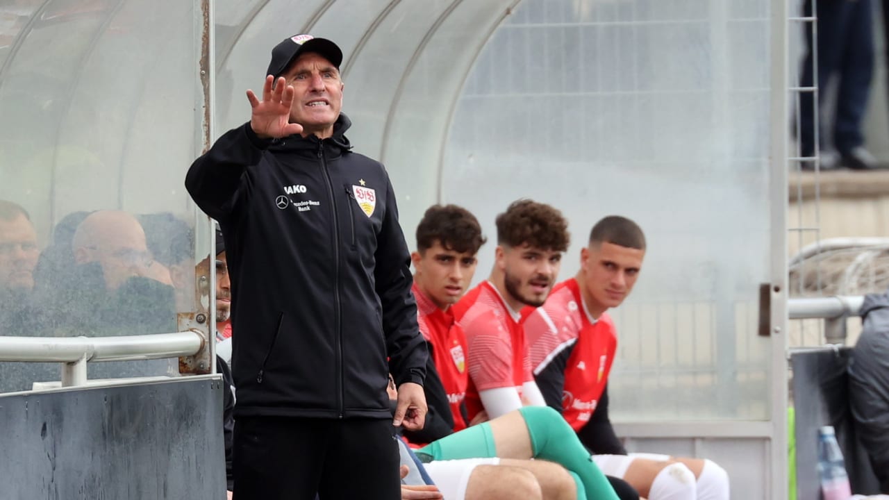 VfB Stuttgart: Labbadia on VfB pros: "They are dissatisfied too quickly"