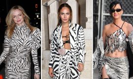 Slipping into Style: the Zebra Print Fashion Trend