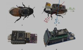 Arduino technology improves movement behavior of cockroaches, finds study