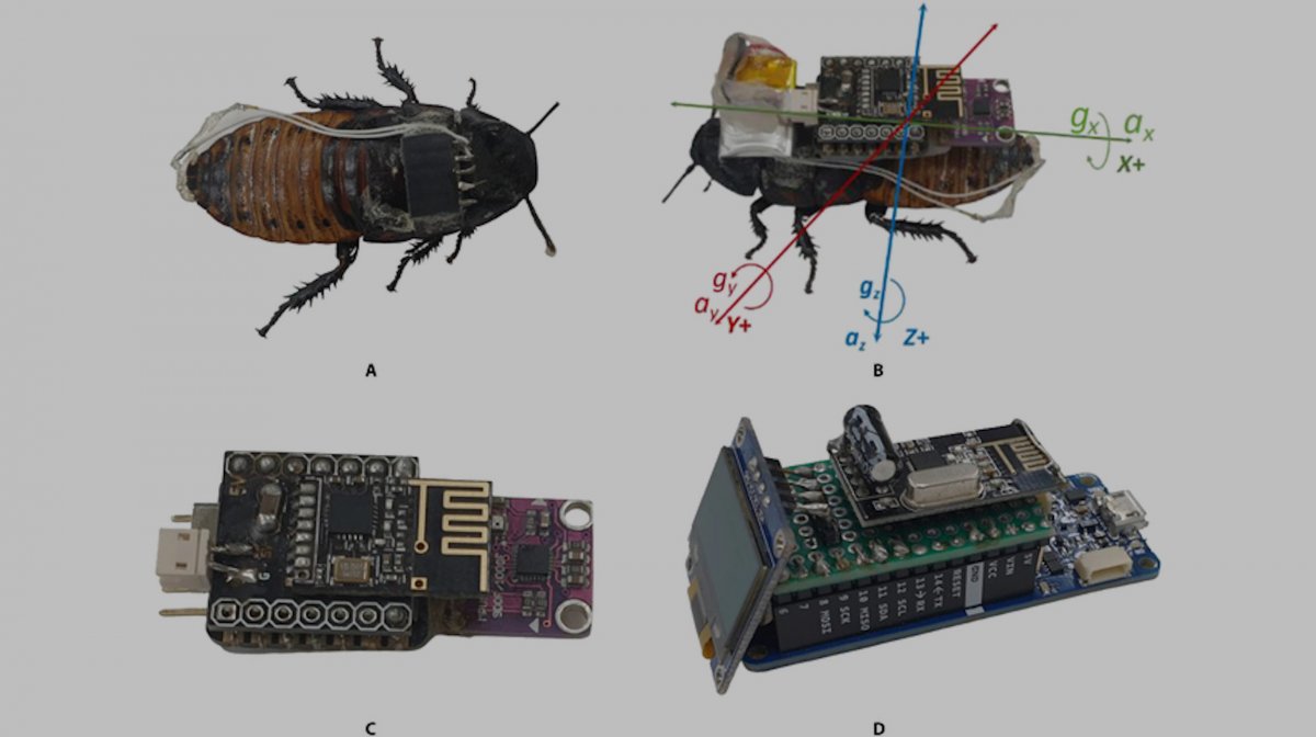 Researchers optimize the movement behavior of cockroaches with Arduino