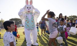 Easter Eggstravaganza: Discover the Best Dallas-Fort Worth Hunt Spots for 2023