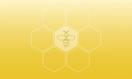 Buzzworthy Statistic: Bee Colony Generates 34 Kilograms of Honey