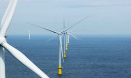 Netherlands limits offshore wind turbines to protect migratory birds