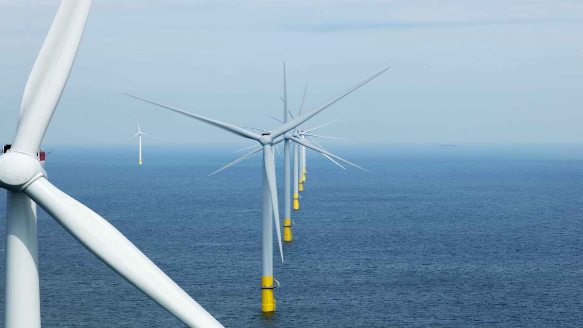 Wind energy: Netherlands throttles offshore wind turbines for migratory birds