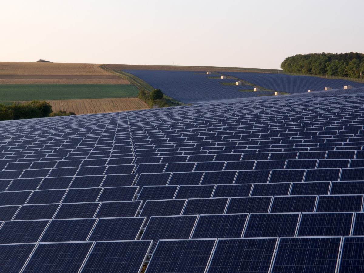 Sunny times for photovoltaics: record growth in renewable energies