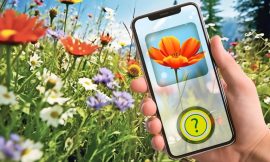 Plant Identification: Testing Six Free Smartphone Apps