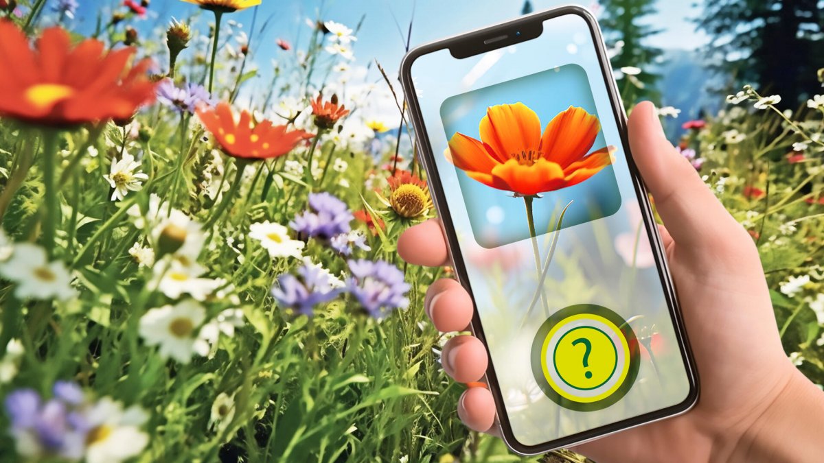 Plant identification via smartphone: six free apps in the test