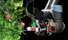 Raspberry Robot Revolutionizes Harvest with Robotic Raspberries