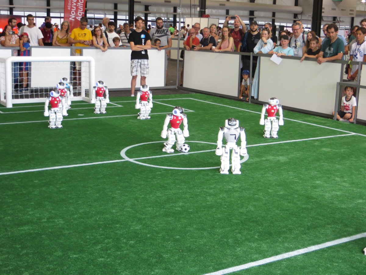 RoboCup World Cup: The diversity of the soccer game