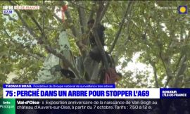 Paris: Activist Takes to the Trees to Oppose A69 Project in Occitanie – BFM Paris Ile-de-France