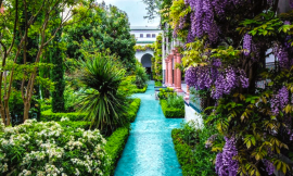 Discover the Most Beautiful Oriental Garden in Paris!