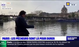 Paris: Ecologists call for a ban on recreational fishing in … – BFM Paris Ile-de-France