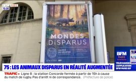Paris: The Natural History Museum offers a chance to discover extinct animals through augmented reality – BFM Paris Ile-de-France