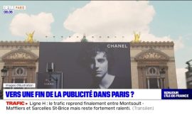 Towards the End of Advertising in Paris?