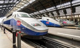 Train from Paris to Toulouse Blocked All Night After Tree Falls