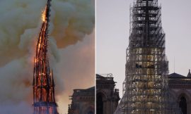 Follow Emmanuel Macron’s Visit and Special Coverage of the Cathedral Construction, One Year Before its Reopening to the Public