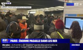 Disrupted Traffic for Several Hours on RER A, B, and D Due to Water Leak