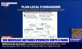 Developing Green Spaces in Paris: The City’s Initiatives