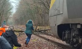 Passengers on Paris-Corbigny train cleared fallen tree from the tracks at Dirol