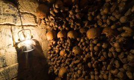 The Catacombs of Paris Begin a Historic Renovation!