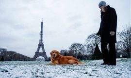 Beautiful and Magical: Discover the Magnificent Images of Paris Covered in Snow