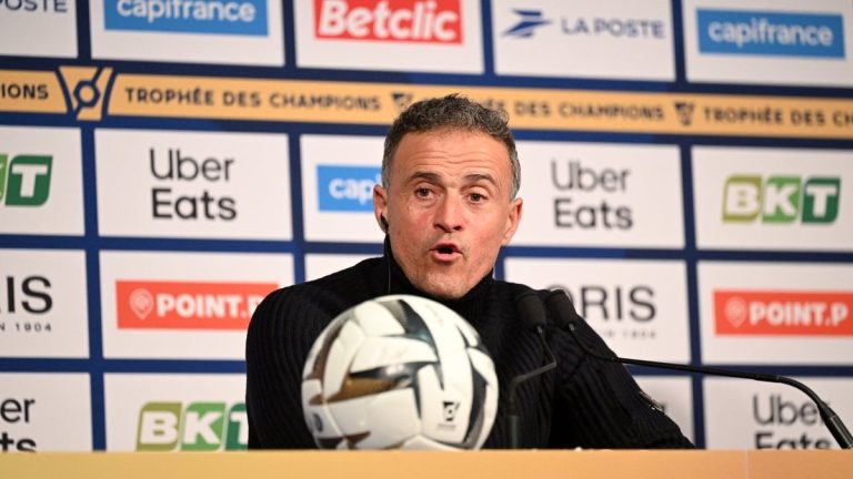 Read more about the article PSG: Revealing Discussions with Luis Enrique in Paris