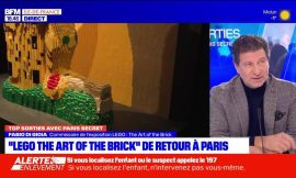 Top Events in Paris on Friday, January 19th – Lego, the Art of the Brick Returns to Paris