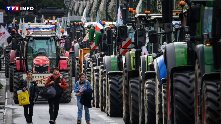 Read more about the article Agricultural Mobilization: Paris, Lyon, Grenoble.. What Blockades on Monday, January 29th?