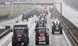 Agricultural Protests Around Paris: What to Expect on Monday for the Siege of the Capital?