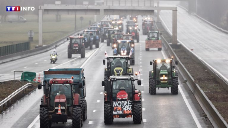 Read more about the article Agricultural Protests Around Paris: What to Expect on Monday for the Siege of the Capital?