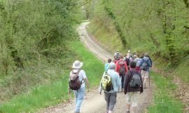 The Great Hike to Paris Will Make a Stop in Orne Before the 2024 Olympic Games