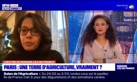 Training programs offered to become a farmer in Paris, Ile-de-France