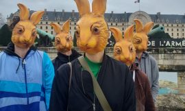 The hunt for the rabbits of Les Invalides in Paris could still end up in court