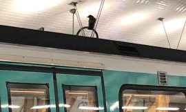 Paris: Crow Stuck in Metro for Three Months Finally Freed