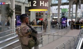 Knife Attack at Paris Gare de Lyon: The Profile of the Assailant