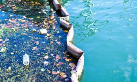 Pour l’assainissement, l’eau du Gange sera versée dans la Seine